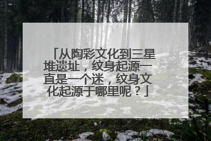从陶彩文化到三星堆遗址，纹身起源一直是一个迷，纹身文化起源于哪里呢？