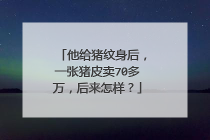 他给猪纹身后，一张猪皮卖70多万，后来怎样？