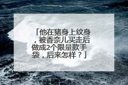 他在猪身上纹身，被香奈儿买走后做成2个限量款手袋，后来怎样？
