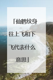 仙鹤纹身往上飞和下飞代表什么意思