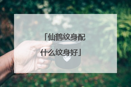 仙鹤纹身配什么纹身好