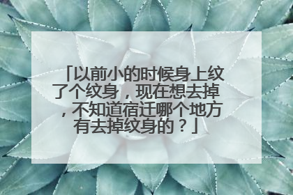 以前小的时候身上纹了个纹身，现在想去掉，不知道宿迁哪个地方有去掉纹身的？