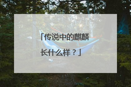 传说中的麒麟长什么样？