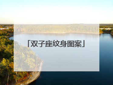 双子座纹身图案