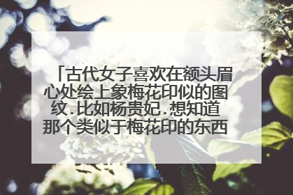 古代女子喜欢在额头眉心处绘上象梅花印似的图纹.比如杨贵妃.想知道那个类似于梅花印的东西确切的叫什么?