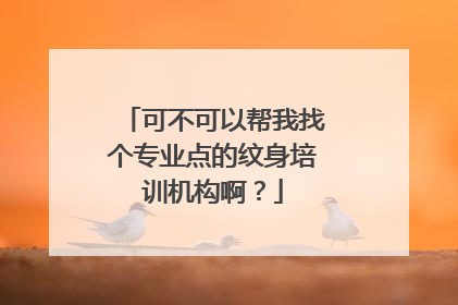 可不可以帮我找个专业点的纹身培训机构啊？