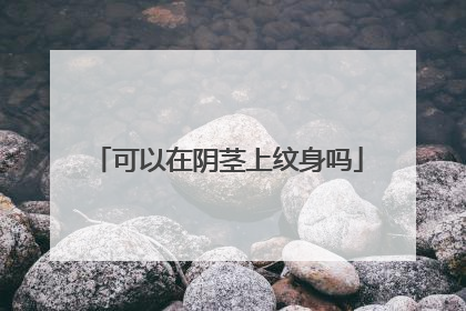 可以在阴茎上纹身吗