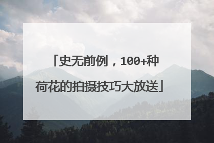 史无前例，100+种荷花的拍摄技巧大放送