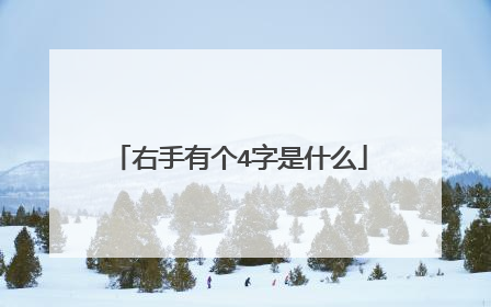 右手有个4字是什么