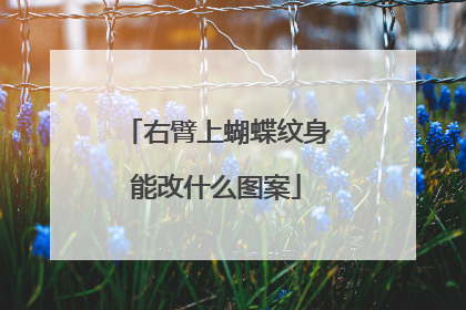 右臂上蝴蝶纹身能改什么图案