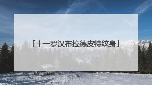 十一罗汉布拉德皮特纹身