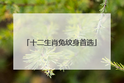 十二生肖兔纹身首选