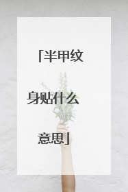 半甲纹身贴什么意思