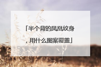 半个背的凤凰纹身，用什么图案覆盖