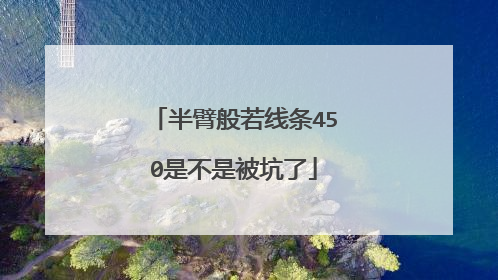 半臂般若线条450是不是被坑了