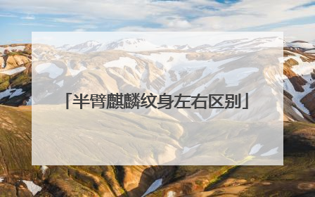 半臂麒麟纹身左右区别