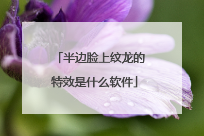 半边脸上纹龙的特效是什么软件