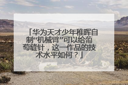 华为天才少年稚晖自制“机械臂”可以给葡萄缝针，这一作品的技术水平如何？