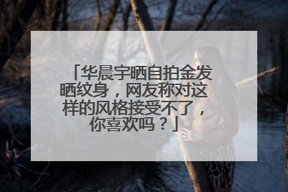 华晨宇晒自拍金发晒纹身，网友称对这样的风格接受不了，你喜欢吗？