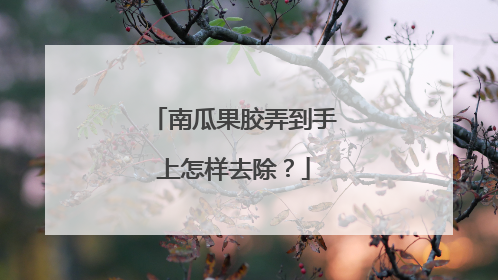 南瓜果胶弄到手上怎样去除？