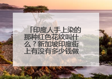 印度人手上染的那种红色花纹叫什么？新加坡印度街上有没有多少钱做一次谢谢