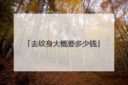 去纹身大概要多少钱