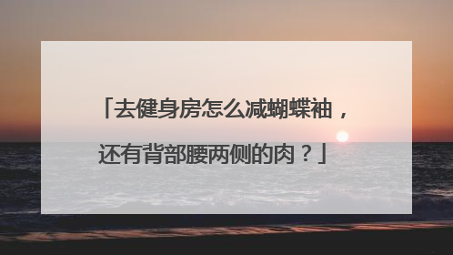 去健身房怎么减蝴蝶袖,还有背部腰两侧的肉?