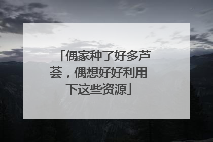 偶家种了好多芦荟，偶想好好利用下这些资源