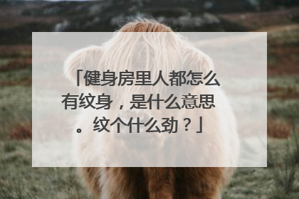 健身房里人都怎么有纹身，是什么意思。纹个什么劲？