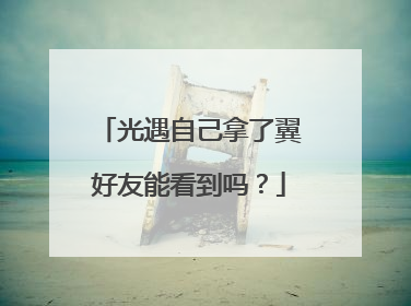 光遇自己拿了翼好友能看到吗？