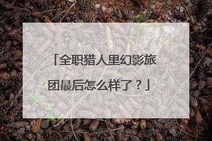 全职猎人里幻影旅团最后怎么样了？