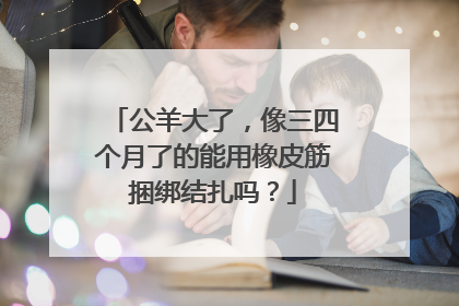 公羊大了，像三四个月了的能用橡皮筋捆绑结扎吗？
