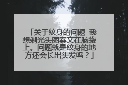 关于纹身的问题 我想剃光头图案文在脑袋上。问题就是纹身的地方还会长出头发吗？