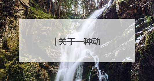 关于一种动物的纹身