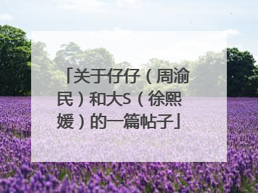 关于仔仔（周渝民）和大S（徐熙媛）的一篇帖子