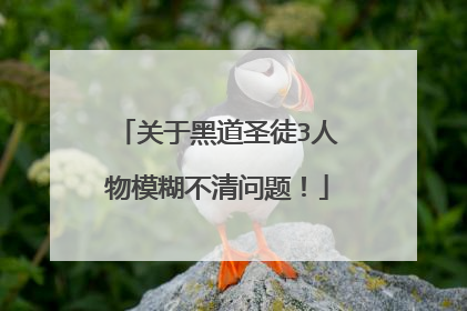 关于黑道圣徒3人物模糊不清问题！
