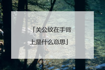 关公纹在手臂上是什么意思
