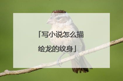 写小说怎么描绘龙的纹身