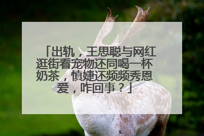出轨，王思聪与网红逛街看宠物还同喝一杯奶茶，慎婕还频频秀恩爱，咋回事？