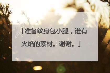 准备纹身包小腿，谁有火焰的素材。谢谢。
