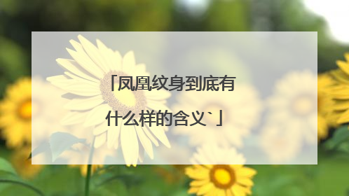 凤凰纹身到底有什么样的含义`