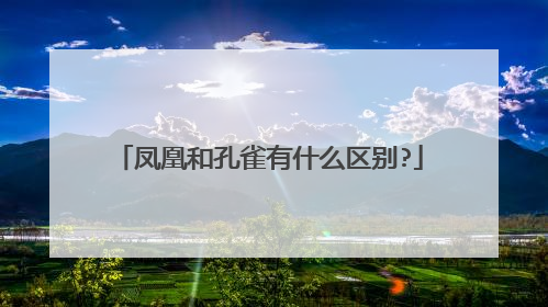 凤凰和孔雀有什么区别?