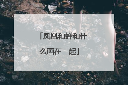 凤凰和蝉和什么画在一起