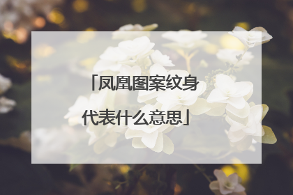 凤凰图案纹身代表什么意思