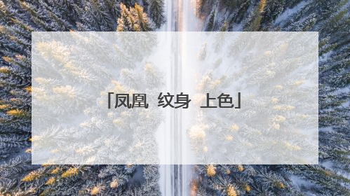 凤凰 纹身 上色
