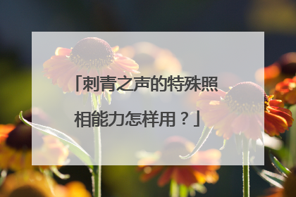 刺青之声的特殊照相能力怎样用？