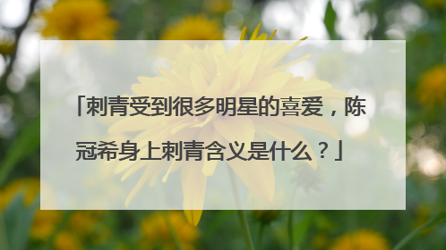 刺青受到很多明星的喜爱，陈冠希身上刺青含义是什么？