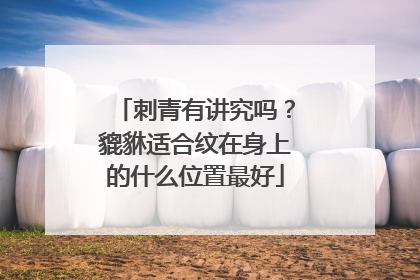 刺青有讲究吗？貔貅适合纹在身上的什么位置最好