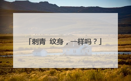 刺青 纹身，一样吗？