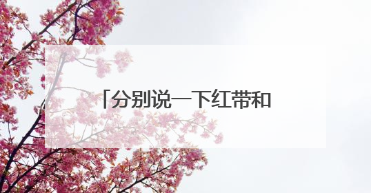 分别说一下红带和红黑带绣的字体是什么字体？其实就是那个倪字绣的不同，谁知道这两种倪字是啥字体跆拳道